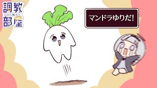 ⋆⸜ 調教部屋  ⸝⋆ (´º∀º｀)【白百合リリィ / ビビドニア 】
