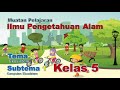 Kuis Ekosistem dan Daur Hidup Hewan