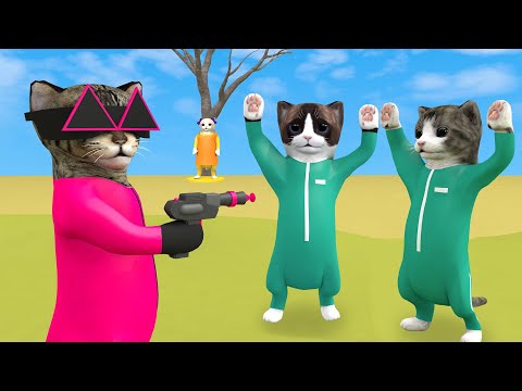 Squid game but with cats