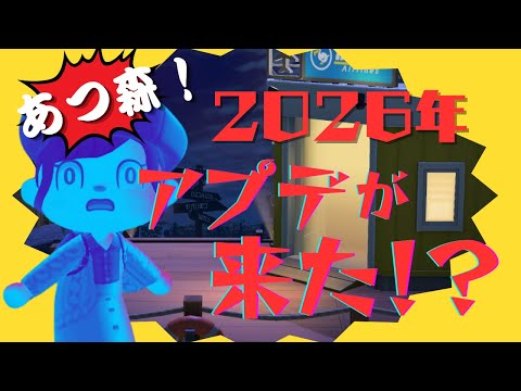 【実写リアクション】突然のあつ森アプデ情報でおかしくなる夫婦　【マイデザ】