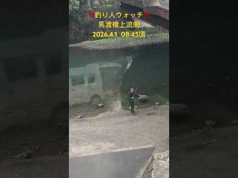 ‼️釣り人ウォッチ‼️馬渡橋上流側 2026.4.1 08:45頃