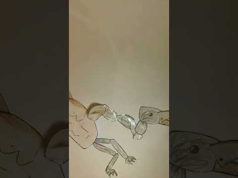 Emu paper craft/animation #animation #emu