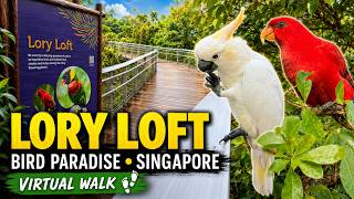 Bird Paradise Singapore Walk | Bird Park Tour