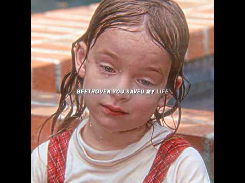 The girl accidentally fell into the water, and this dog desperately tried to save her.#movie #edit