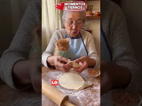 Abuelita enseña a su gatito a hacer empanadas 😹👵🥟