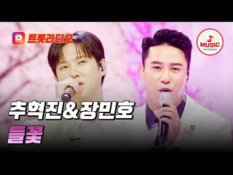 𝗩𝗢𝗜𝗖𝗘 𝗠𝗜𝗫🎚️| 가슴 아려오는 절절함💧 추혁진&amp;장민호의 '<strong>들꽃</strong>'♪ #트롯라디오 #TVCHOSUNMUSIC (TV CHOSUN 250313 방송 외)