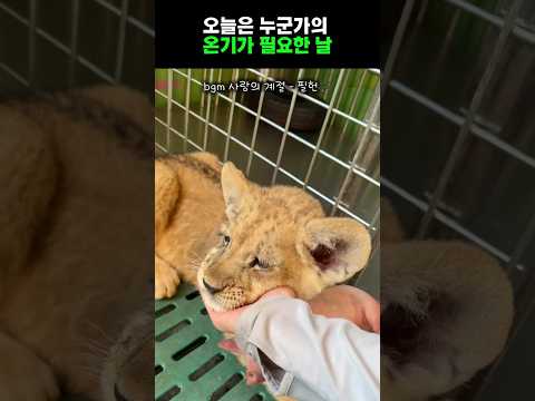 오늘은 누가 나 좀 안아줬으면...
