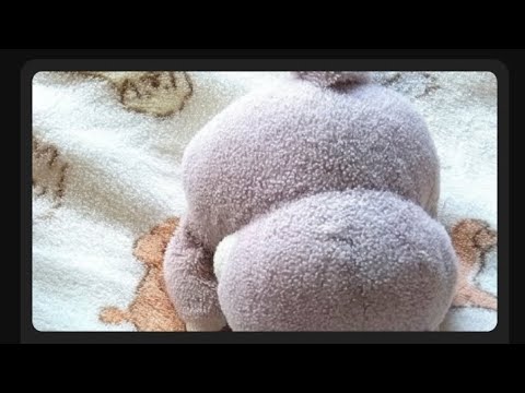 ホテルに泊まる事に決定︰その話について