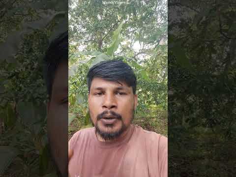 फिल्पकार्ट वर दमदार ऑफर चालू फायदा घ्या सर्वांनी filpkart shopping order banarasi sadi | short feed