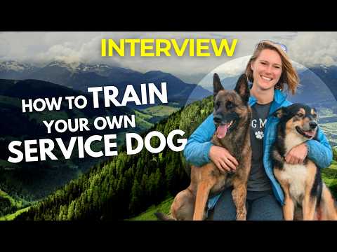 Service Dog Training Secrets Most Handlers Never Learn