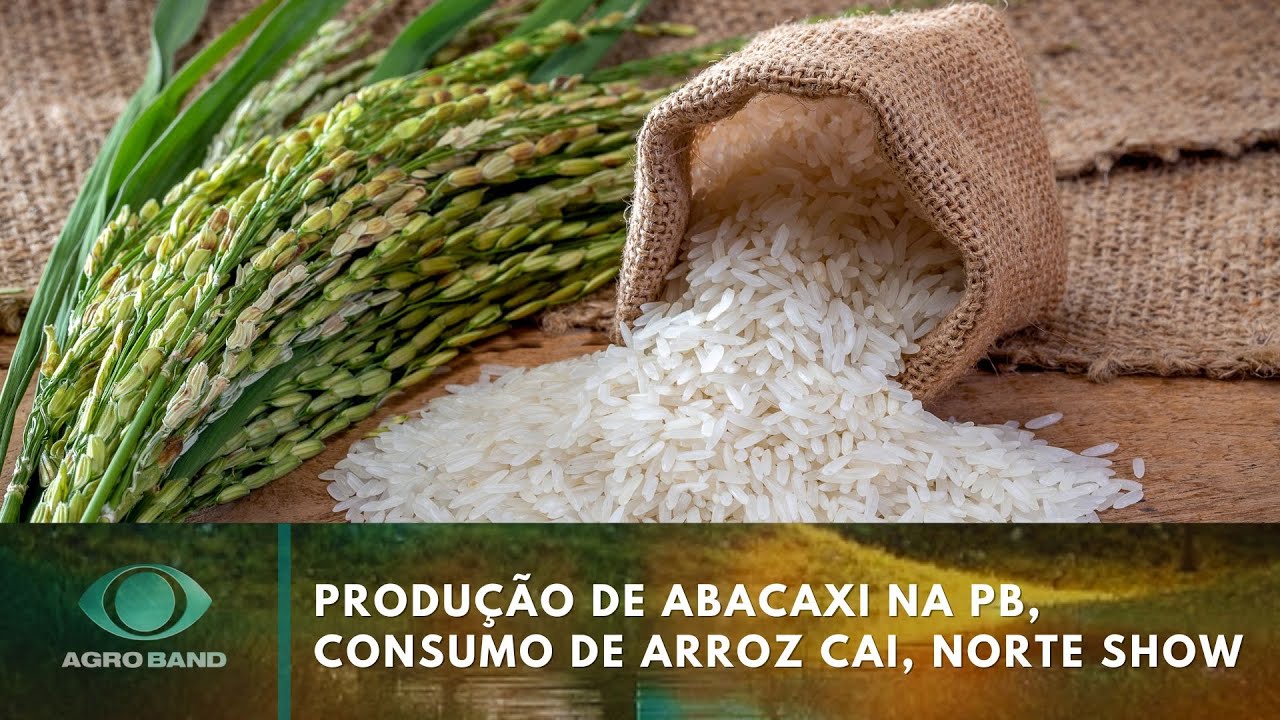 Giro Brasil produção de abacaxi na PB consumo de arroz cai Norte Show