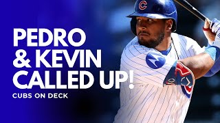 Iowa Cubs Prospects Update: Pedro, Alcantara, Long, Triantos, Bateman, & More!