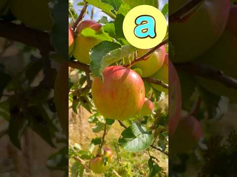 Food ABCs! 🍎🥚🍕 #abcd #kidssongs #kidsvideo #singalong #children #kids #toddlers #abc #food #eat