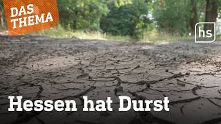 Waldbrände und Niedrigwasser: Hessen kämpft gegen die Trockenheit