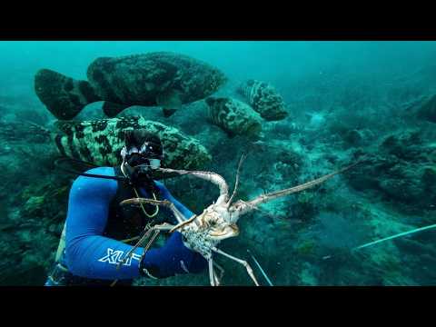 Can you catch a monster grouper underwater with a hand line? video thumbnail