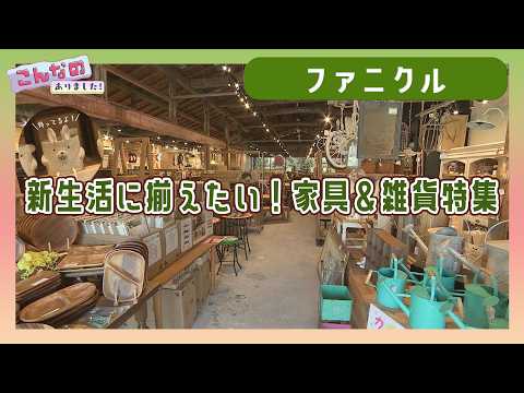 『ファニクル』情報ワイド番組まるっと!「こんなのありました!」 #ファニクル#家具#雑貨#家具&雑貨#宮崎 #まるっと