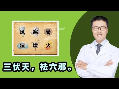 三伏天，祛六邪。三伏前吃它，百病都干趴，一年少生病，这40天记得多吃这四样食物哦｜（中医养生）【老安谈健康】