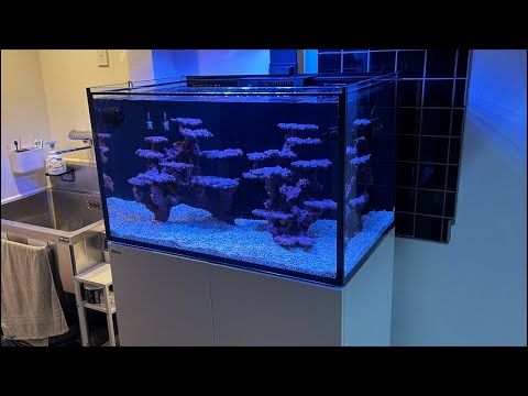 【REEFER300 杉並区続編】オーダーレイアウトロック作成、取り付け完了