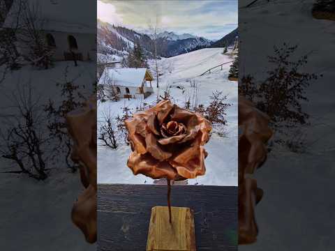 copper rose fotoshoot #fotografia #picoftheday #videoshort #marketing