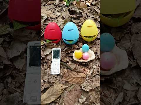 Finding millipede and eggs and snails #snail #millipede #snails