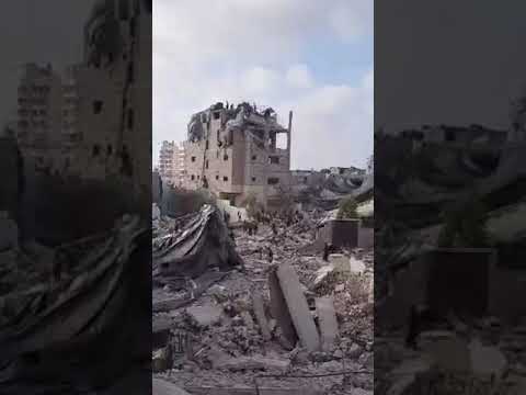المساعدات التي تسقطها الطائرات 💔🇵🇸