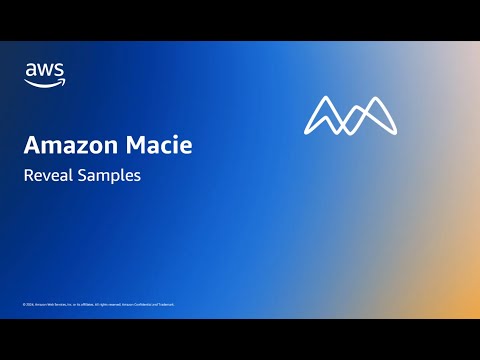 Retrieving and revealing sensitive data samples with Amazon Macie | Amazon Web Services