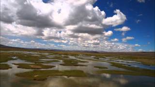 Text von Thich Nhat Hanh - Teemeditation