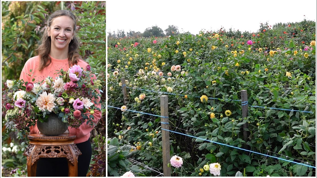 STUNNING Dahlia U-Pick Flower Farm & Pumpkin Flower Bouquet With A Twist!