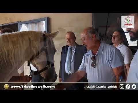نواب وعشائر العرب في ضيافة آل قراعلي في مربط المشرق العربي Levant Arabians في الكورة كفرقاهل.