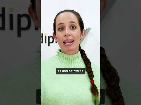 Todos pedían Justicia para Sasha... y esto fue lo que decidió la autoridad 🐶⚖️