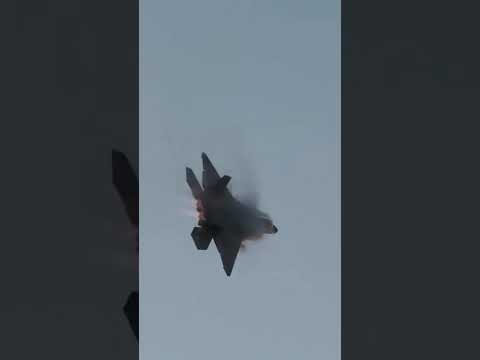 It's Independence Day every day!