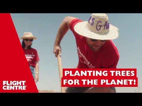 We're planting for the planet |  Flight Centre