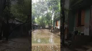 কৃষি ও কৃষকের গল্প is live! মুশলধারায় দিনভর বৃষ্টি