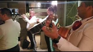 llano grande,  al estilo del Mariachi Sol De Oro Miami (no tengo los derechos de la musica)