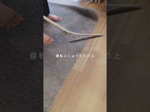 ほうきなのに毛がない？令和最新スーパーほうき＜スリージャルビプロプラス＞