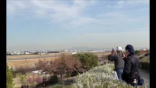 JAL B737-800 伊丹空港 離陸