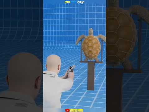 কচ্ছপের খোল কতটা শক্ত?