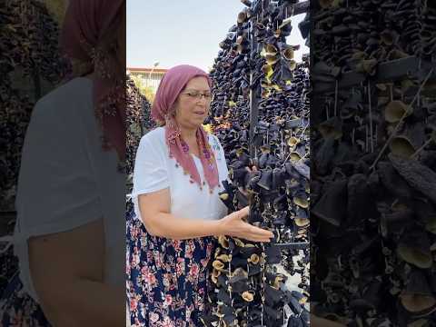 Turkey’s Unique Way of Preserving Eggplants #shortsvideo
