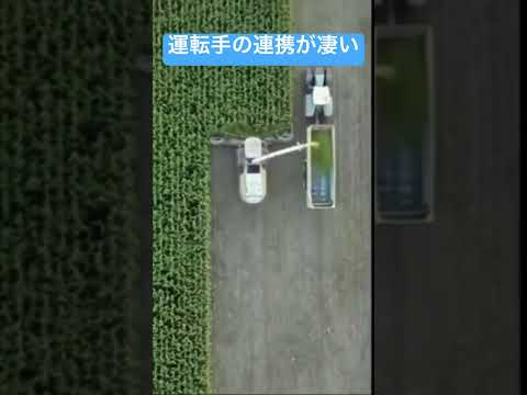 ゲームのような正確さ　#shorts