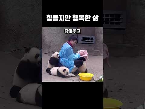 힘들지만 행복한 삶