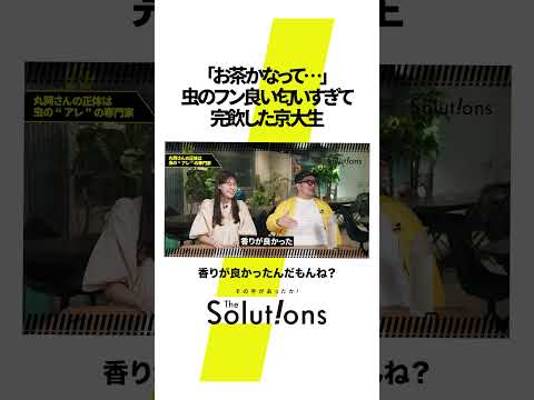 【次世代アイデア】京大生の"逆転発想" #thesolutions #マーケティングリサーチ #ビジネス#虫秘茶