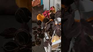 # Cozy Fall Tour # JoyFull Decor By Denise