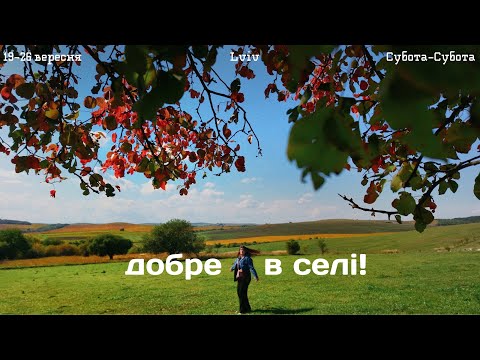 Може, хатку в селі? Козячий ретрит, розхламлення перед переїздом і осінь у Львові! Комфортний влог!