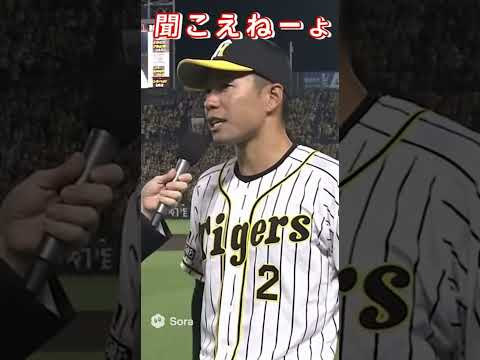 なんか、時差がある入ってねぇんだよ笑　#プロ野球 #赤星憲広 #甲子園 #阪神 #阪神タイガース#ai