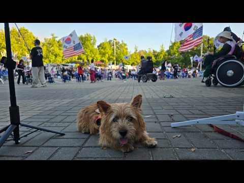 [🔴LIVE] 올공 저녁반 | 부산찍고 돌아와 바로 올공라이브. 부재당수! | 보리시각