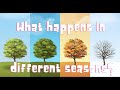 Seasonal Weather and Animal Behavior