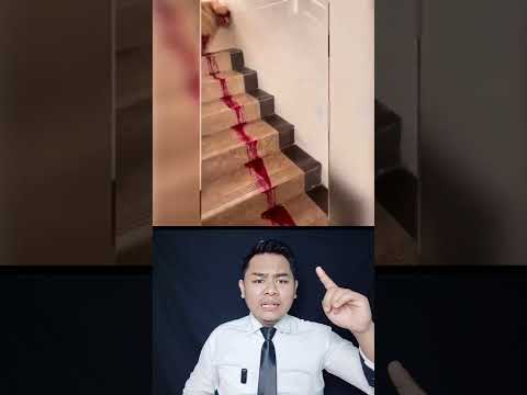 ANJING LUCU NGEPRANK MAJIKAN |Susilo ok #shorts