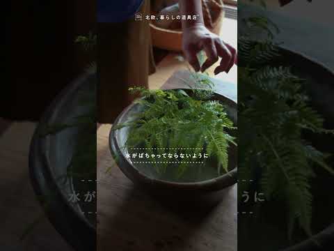 部屋の中を涼しげに。緑を彩るアイデア