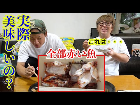 釣りよか同年コンビが初めての魚を食べた結果・・・！