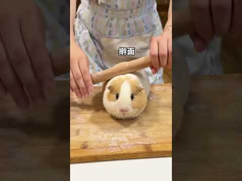Authentic old-fashioned steamed buns, brown sugar steamed buns, corn steamed buns, shoveling dog